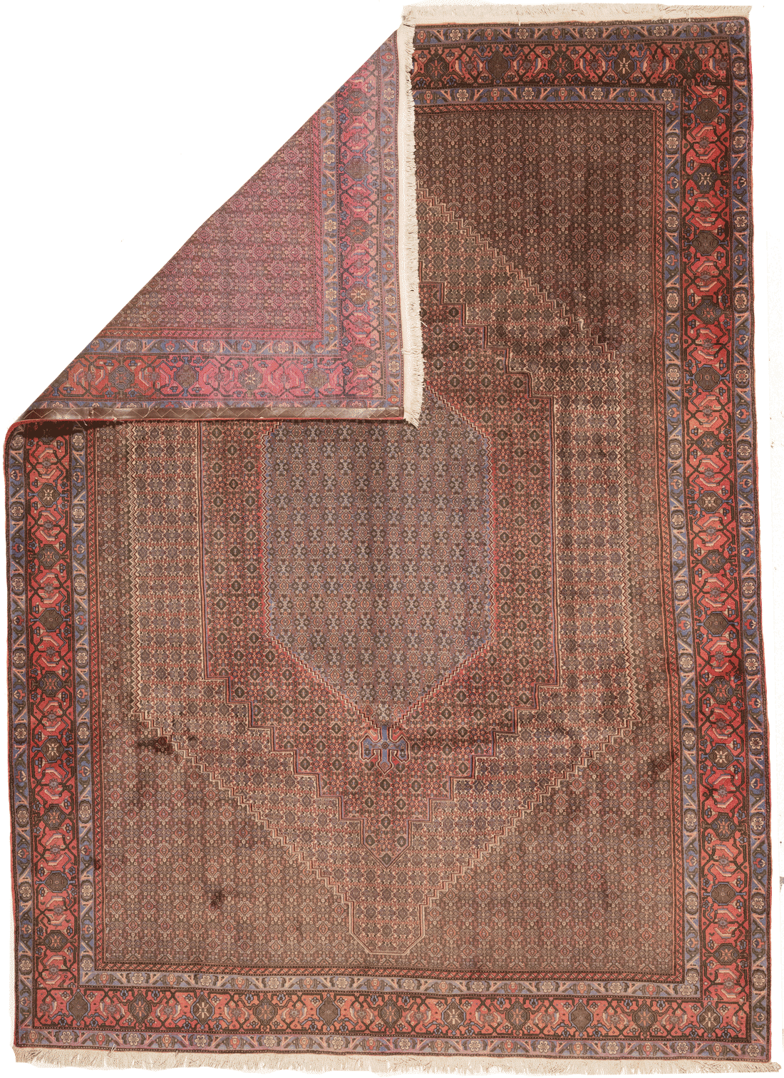 Tapis Senneh Iran Fait Main 360x250cm - Baba Rug