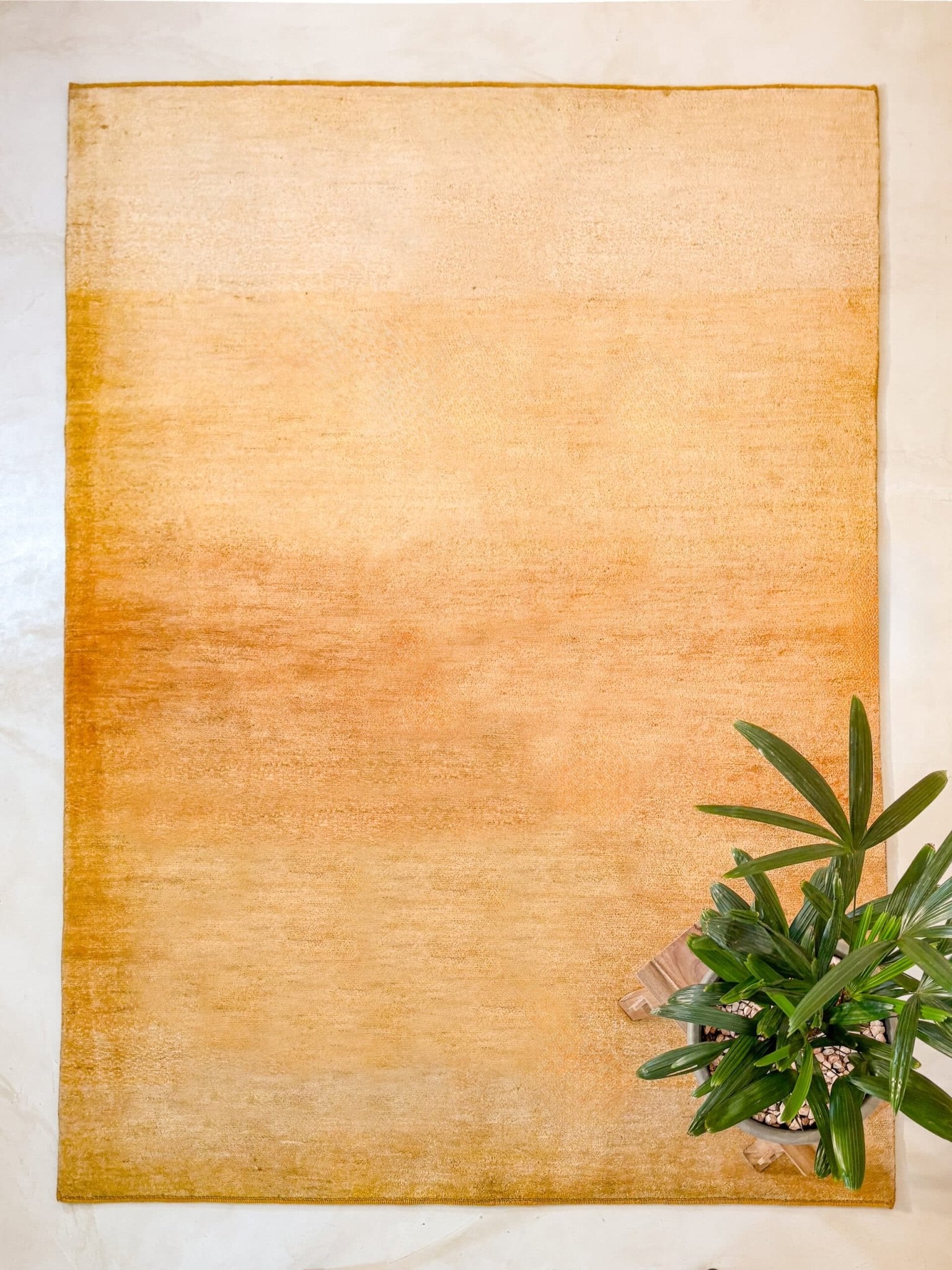 Tapis Gabbeh Persan 237x166