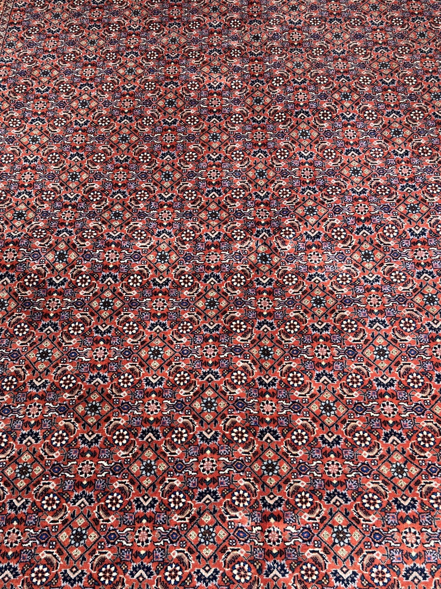 Tapis Bidjar 240x173