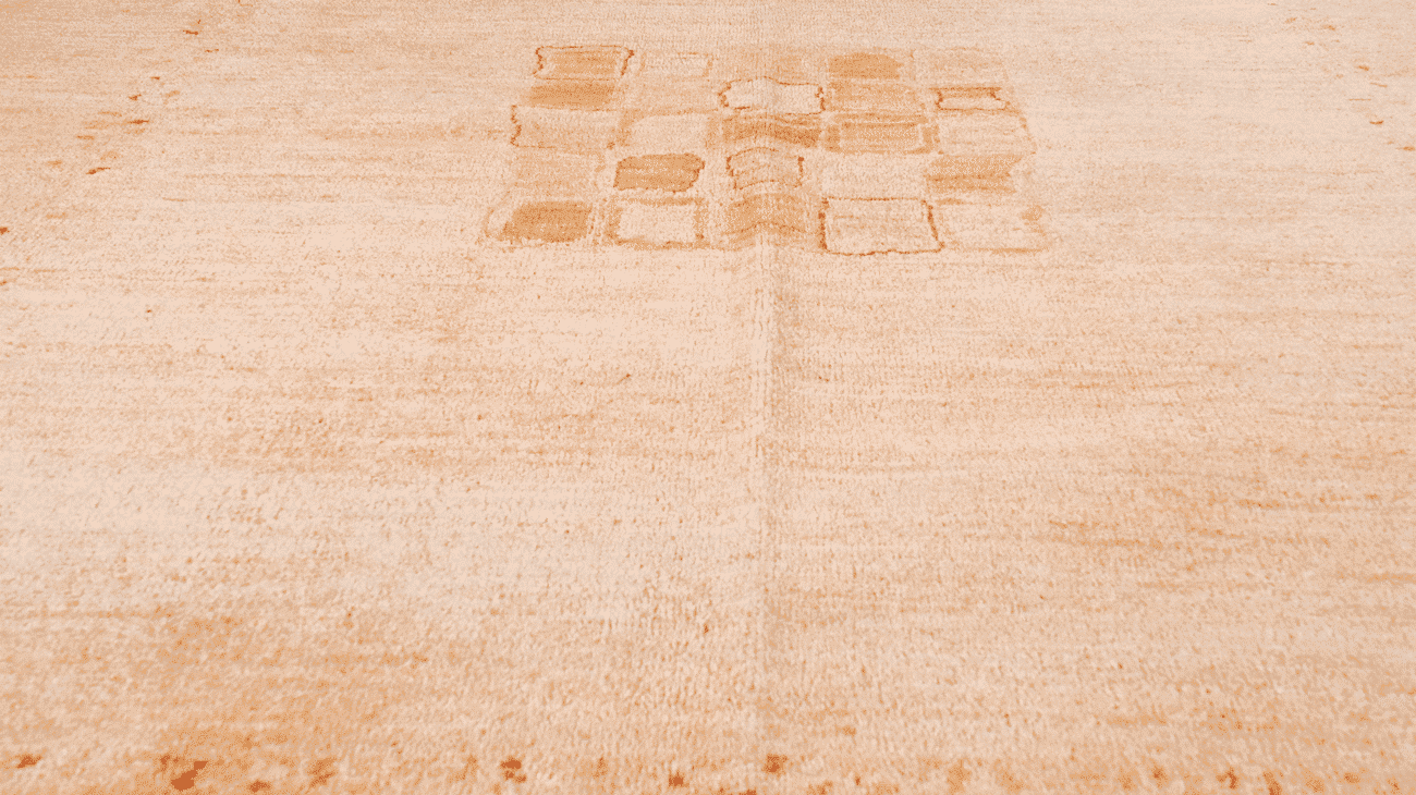 Tapis Modcar 200x196 - Baba Rug