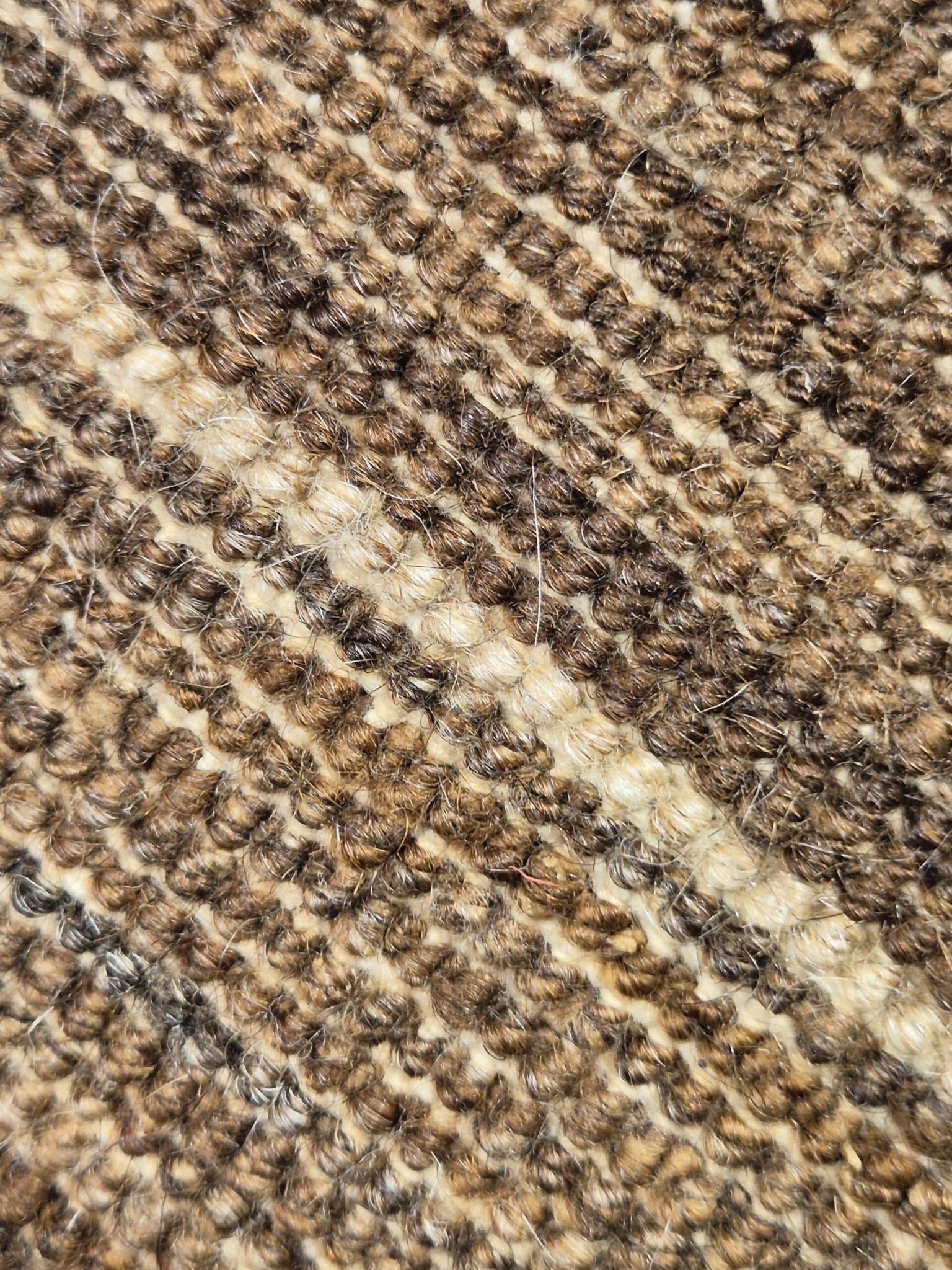 Tapis Ziegler 217x156