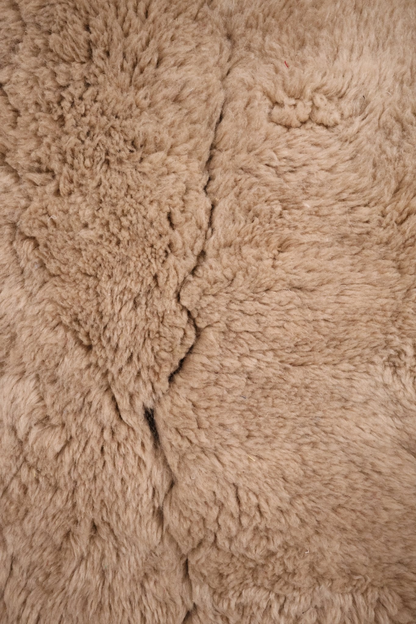 Tapis M'Rirt beige Laine Dense Nouée Main 295x196cm