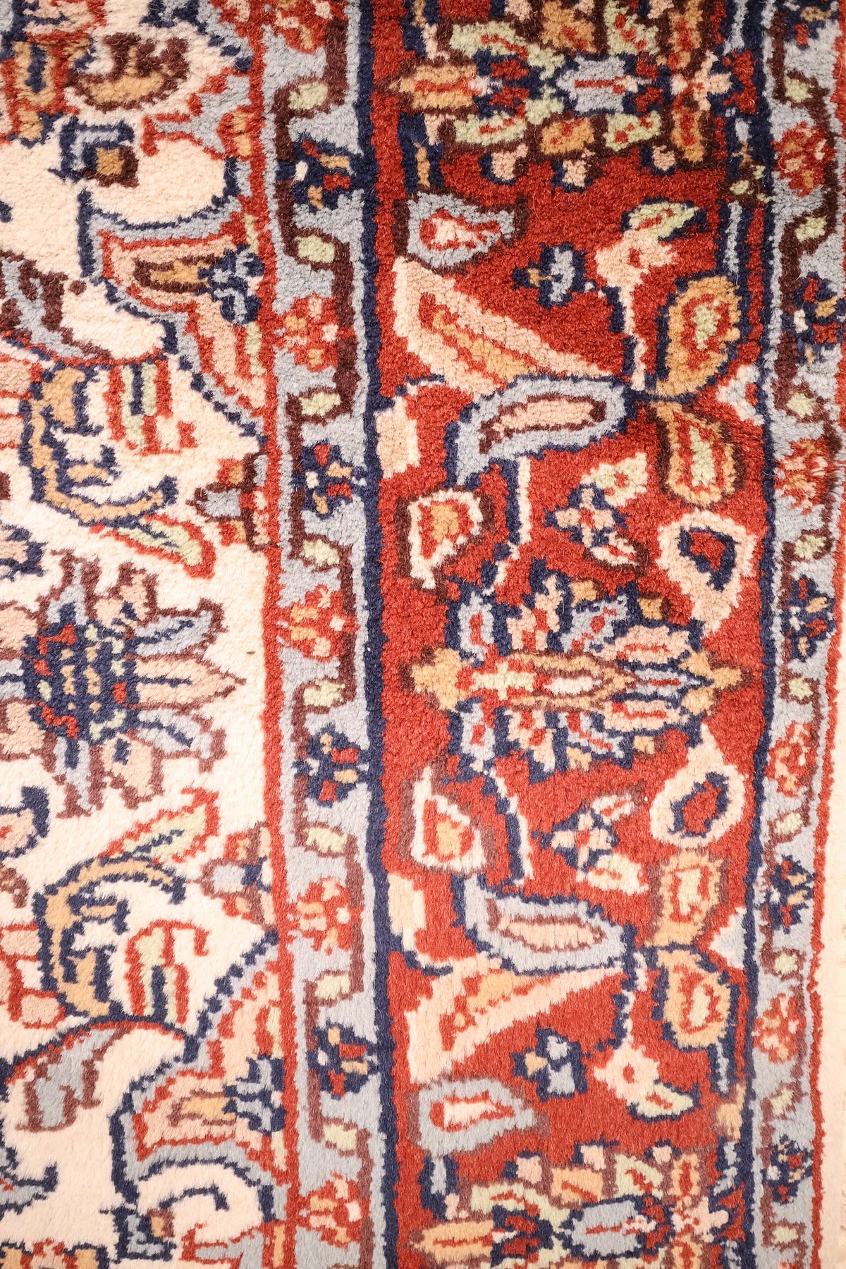Bordure rouge à boteh et fleurs, contre-bordure bleu clair du tapis Agra