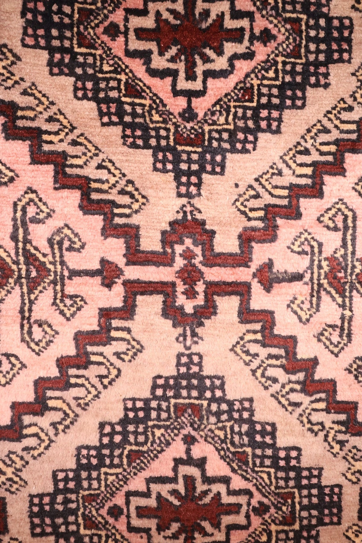 Détail du champ rose saumon et des étoiles rouge brique au centre des médaillons
