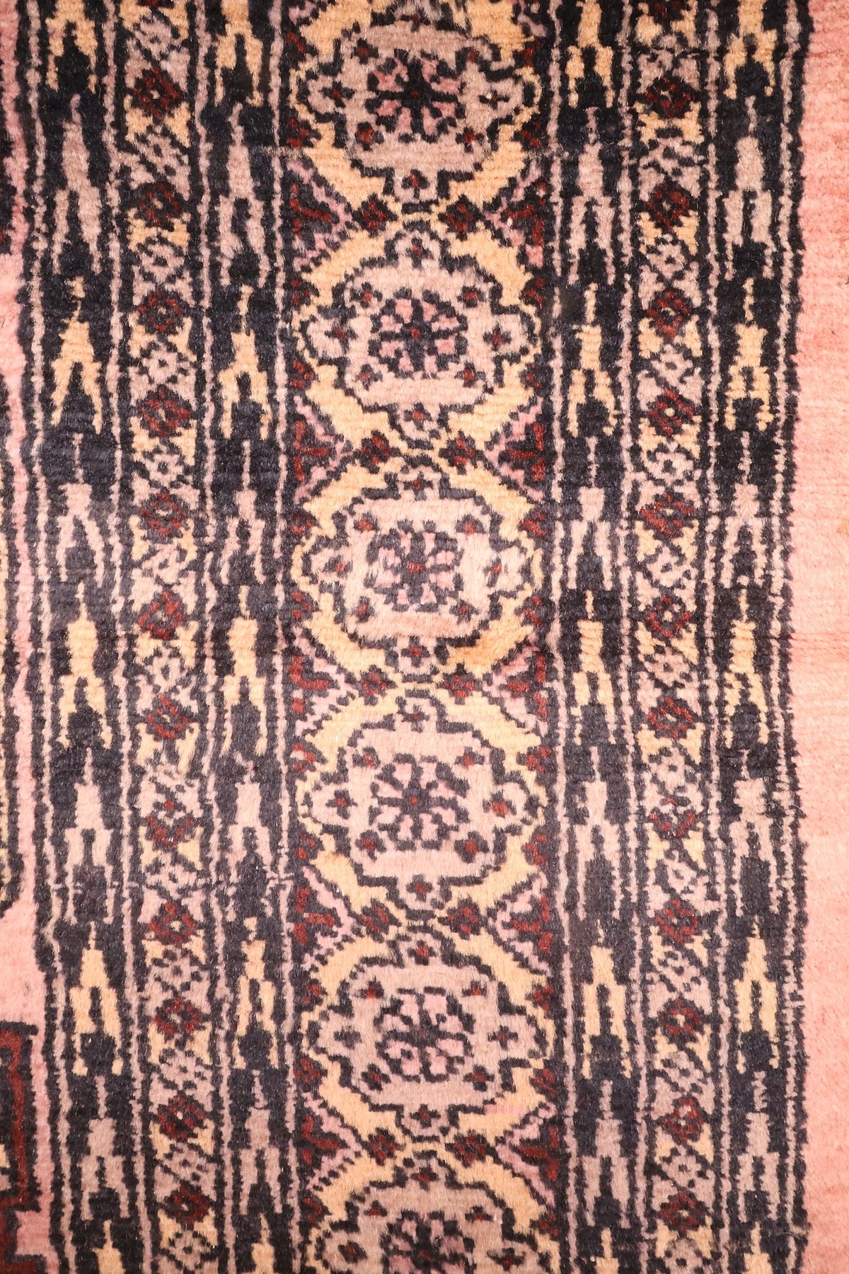 Bordure principale à rosettes ivoire sur fond noir du tapis Boukhara