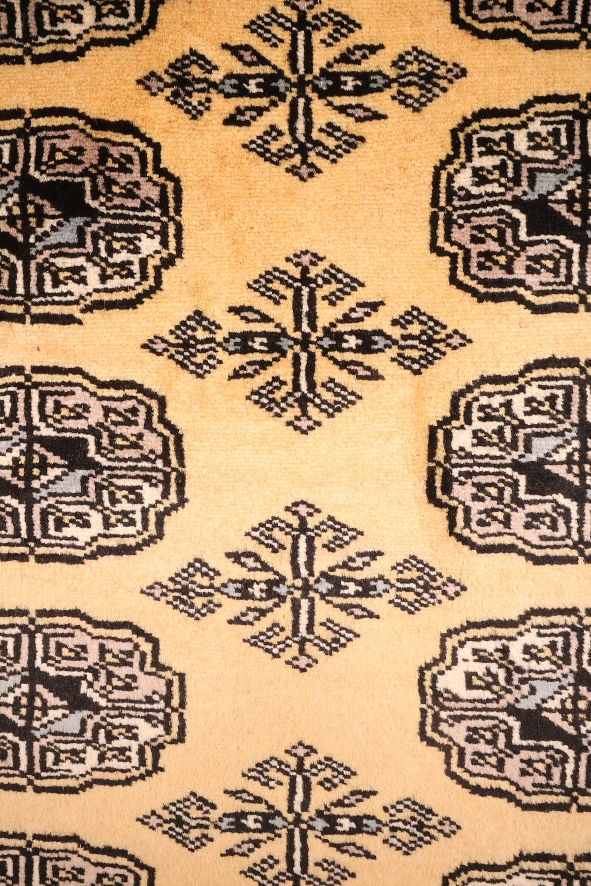 Détail des guls octogonaux cernés de noir et des croix étoilées, tapis Boukhara