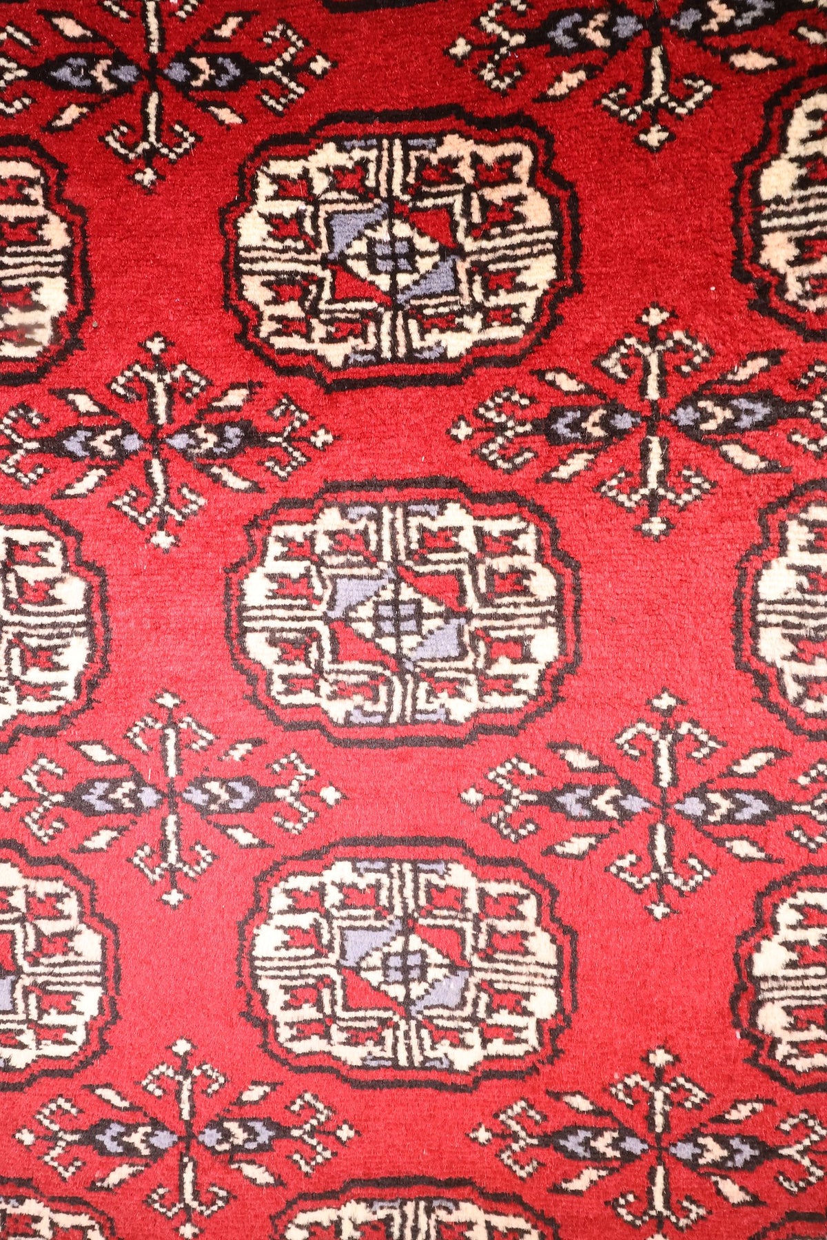Détail des guls octogonaux ivoire, noir et gris-bleu du tapis Boukhara rouge
