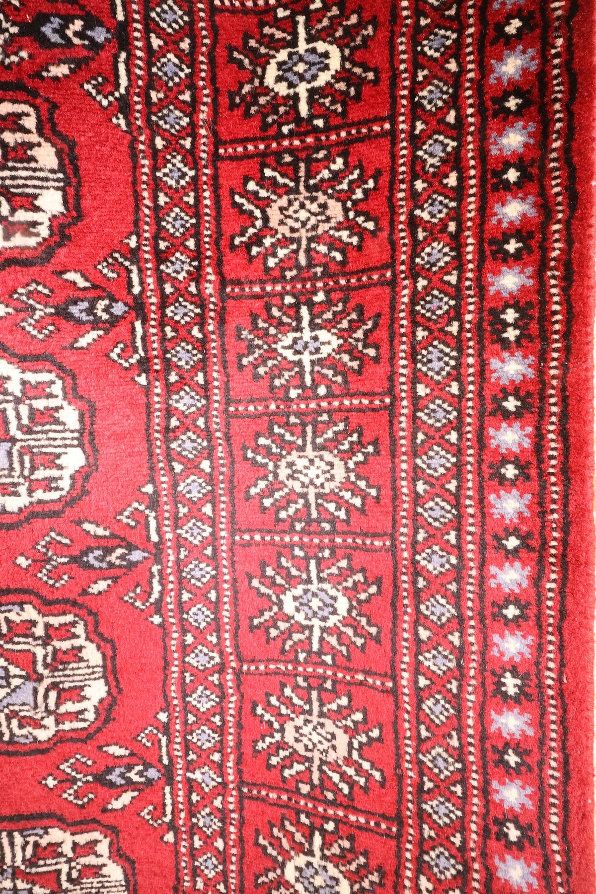 Bordures à rosettes étoilées ivoire et contre-bordures géométriques du tapis Boukhara