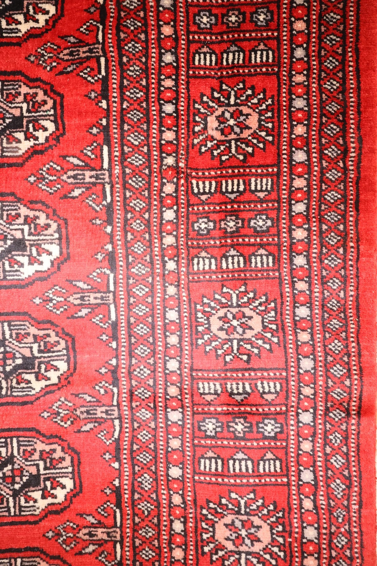 Bordures du tapis Boukhara : rosettes étoilées, damiers et galons perlés