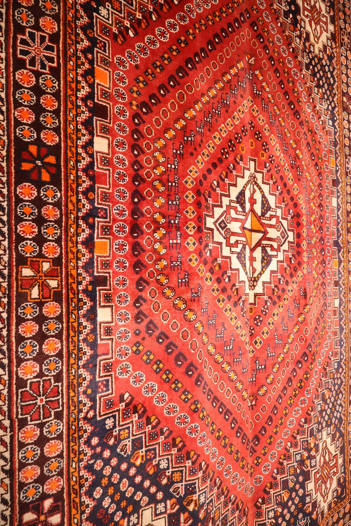 Champ rouge semé de rosettes du tapis Gashgaï, vers la bordure brun foncé