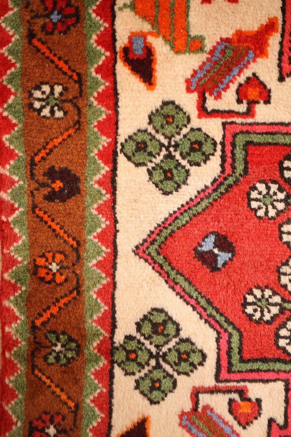 Détail de la bordure brune et des rosettes vertes bordant le médaillon rouge