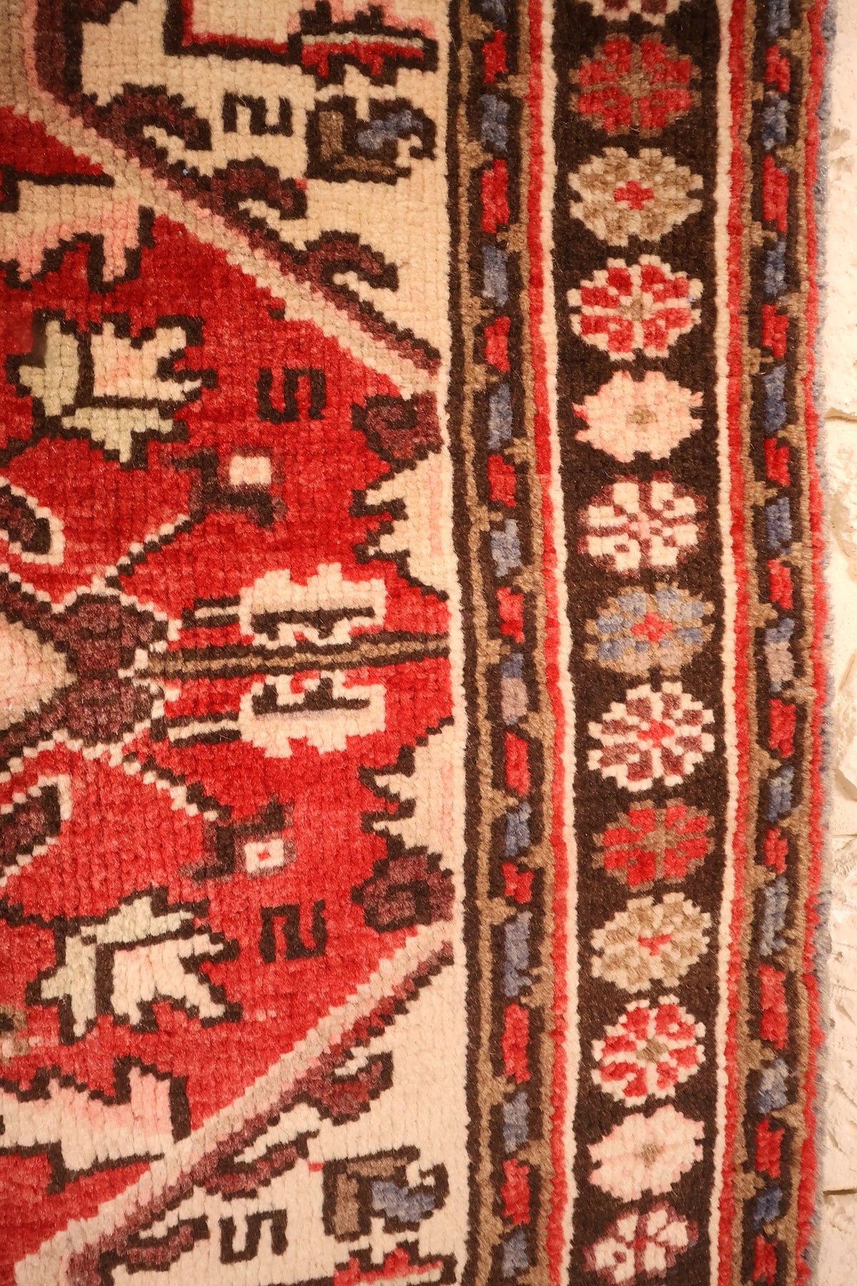 Bordure brun foncé à rosettes ivoire et rouges du tapis Heriz, contre-bordures bleues