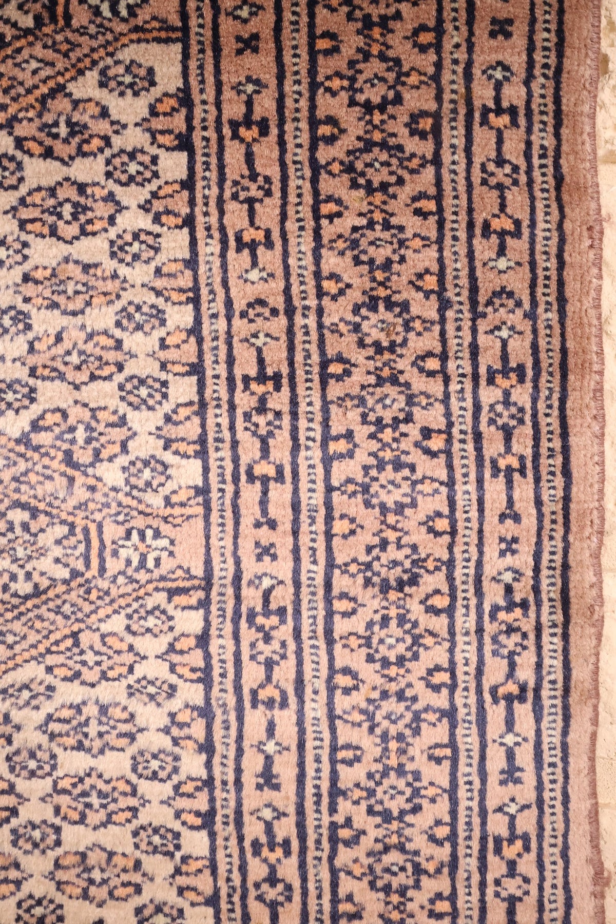Bordures étroites à motifs floraux stylisés du tapis Karachi beige et marron