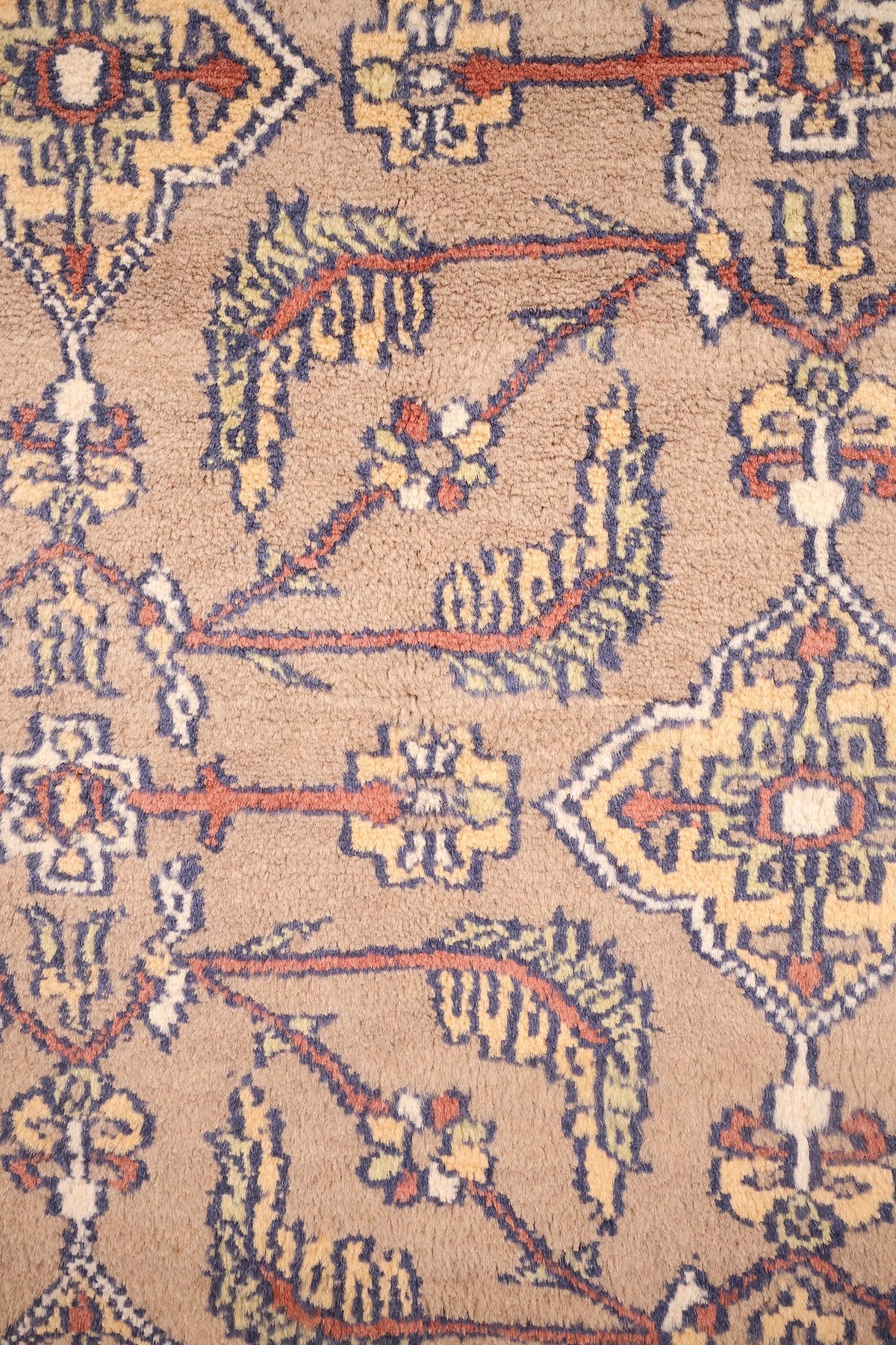 Détail du champ beige sable : rosettes, palmettes et feuilles dentelées reliées par des tiges