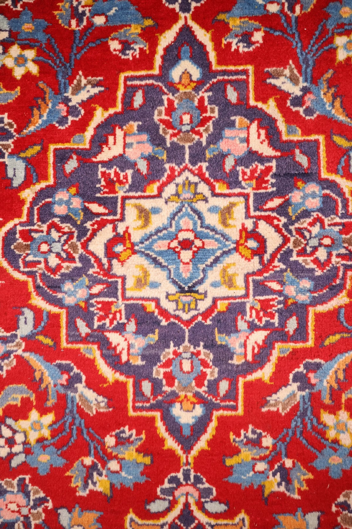 Détail du médaillon à pointes bleu-violet à cœur ivoire du tapis Kashan rouge