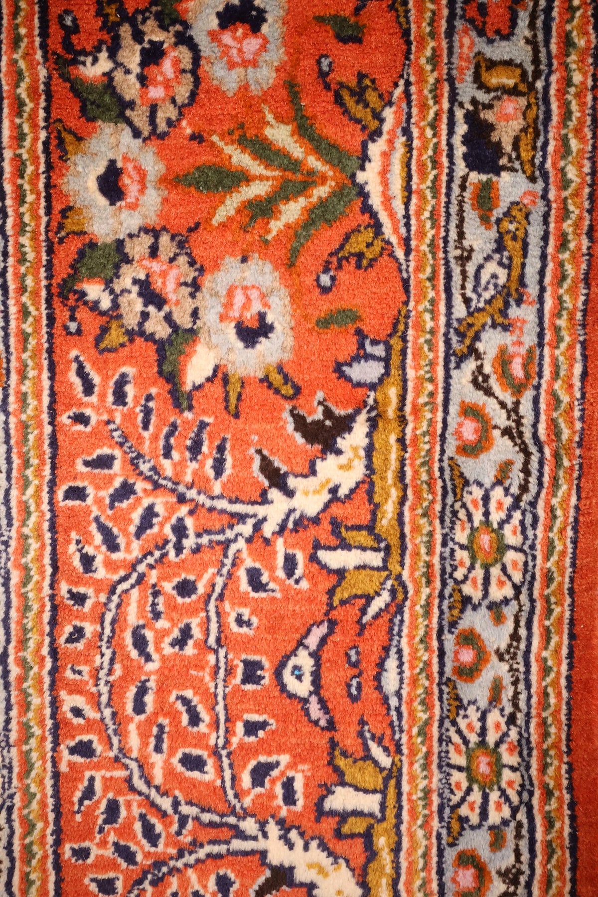 Bordure orange-rouge à rinceaux fleuris et contre-bordures ivoire du tapis Moud
