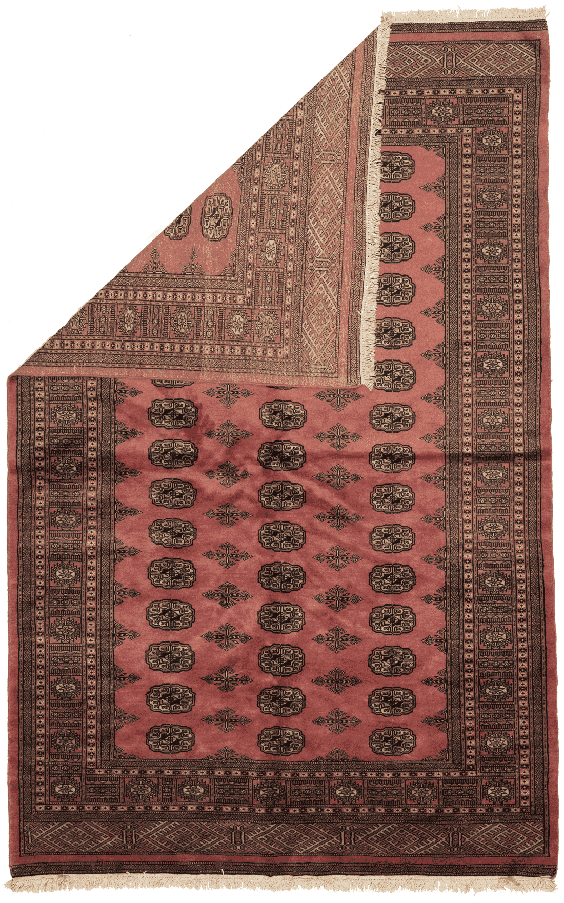 Tapis Pakistan Boukhara en laine nouée main, format 243x146 cm, boutique Baba Rug à Paris 12