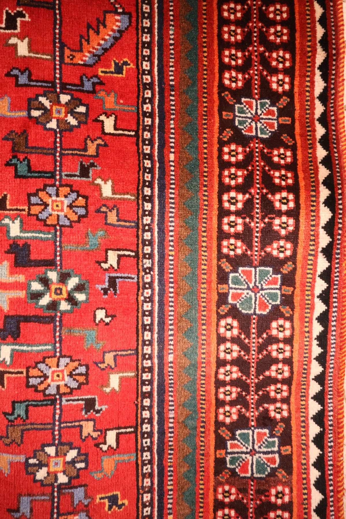 Bordure brun foncé à guirlande de fleurs blanches et rouges du tapis Shiraz