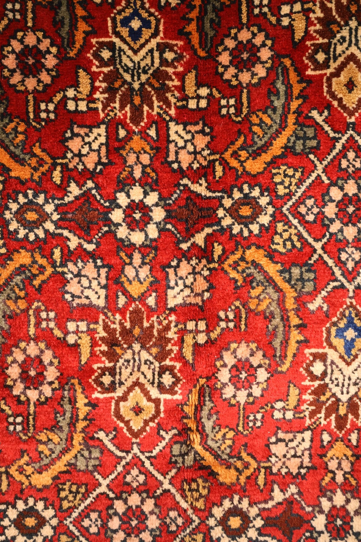 Détail du champ rouge du Shirvan : palmettes, rosettes et boteh beige et orange