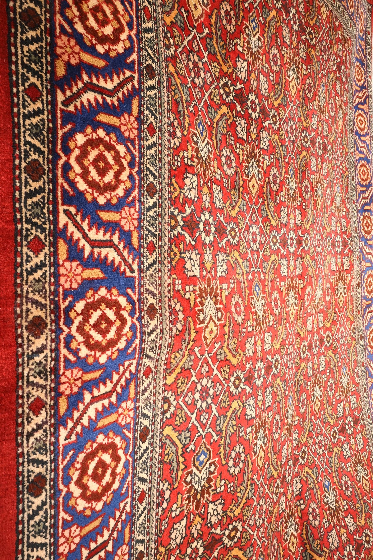 Treillis losangé répétitif et contre-bordures beige à petites fleurs du Shirvan