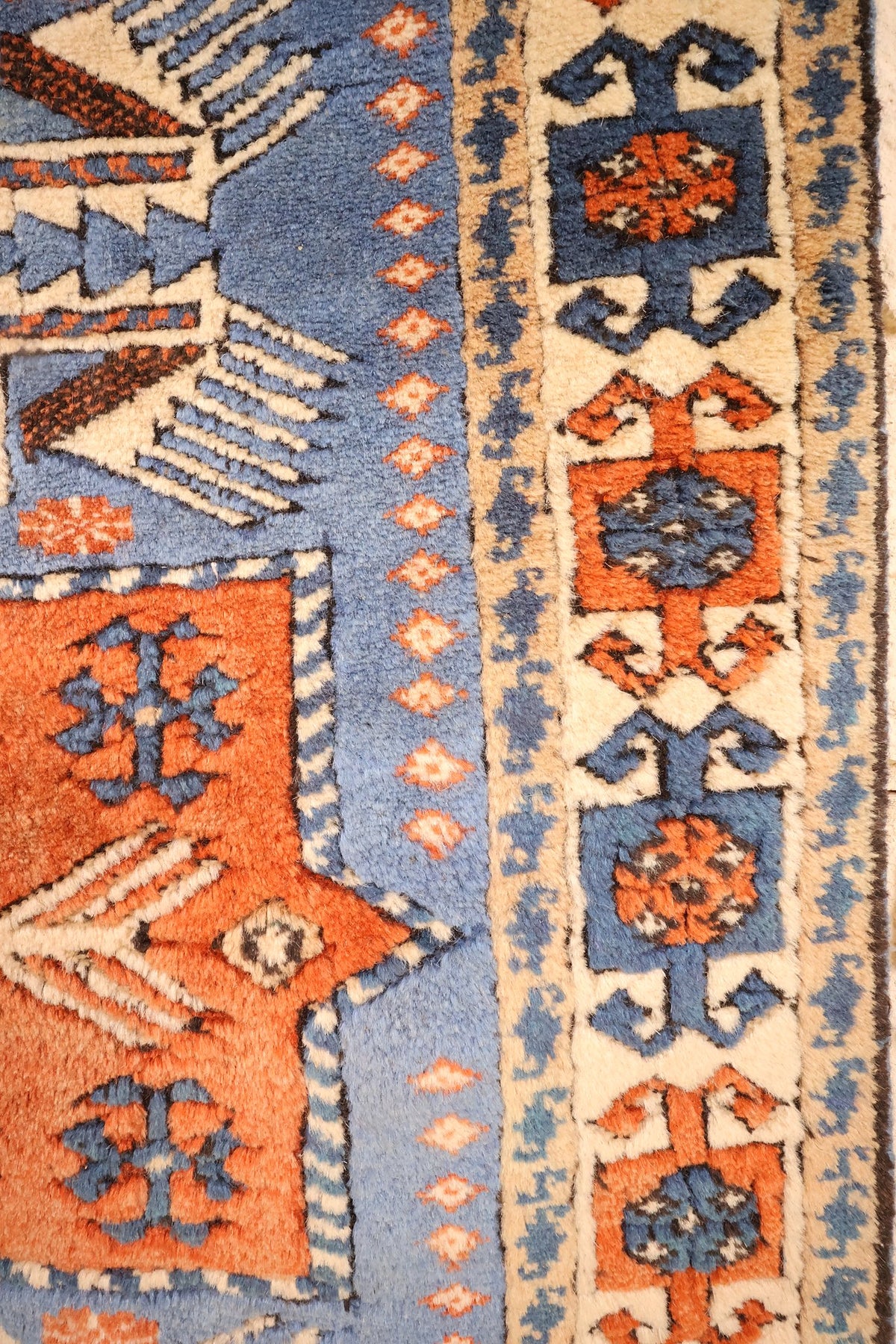 Bordure ivoire à rosettes orange et bleues du tapis Shirvan, contre-bordures bleues