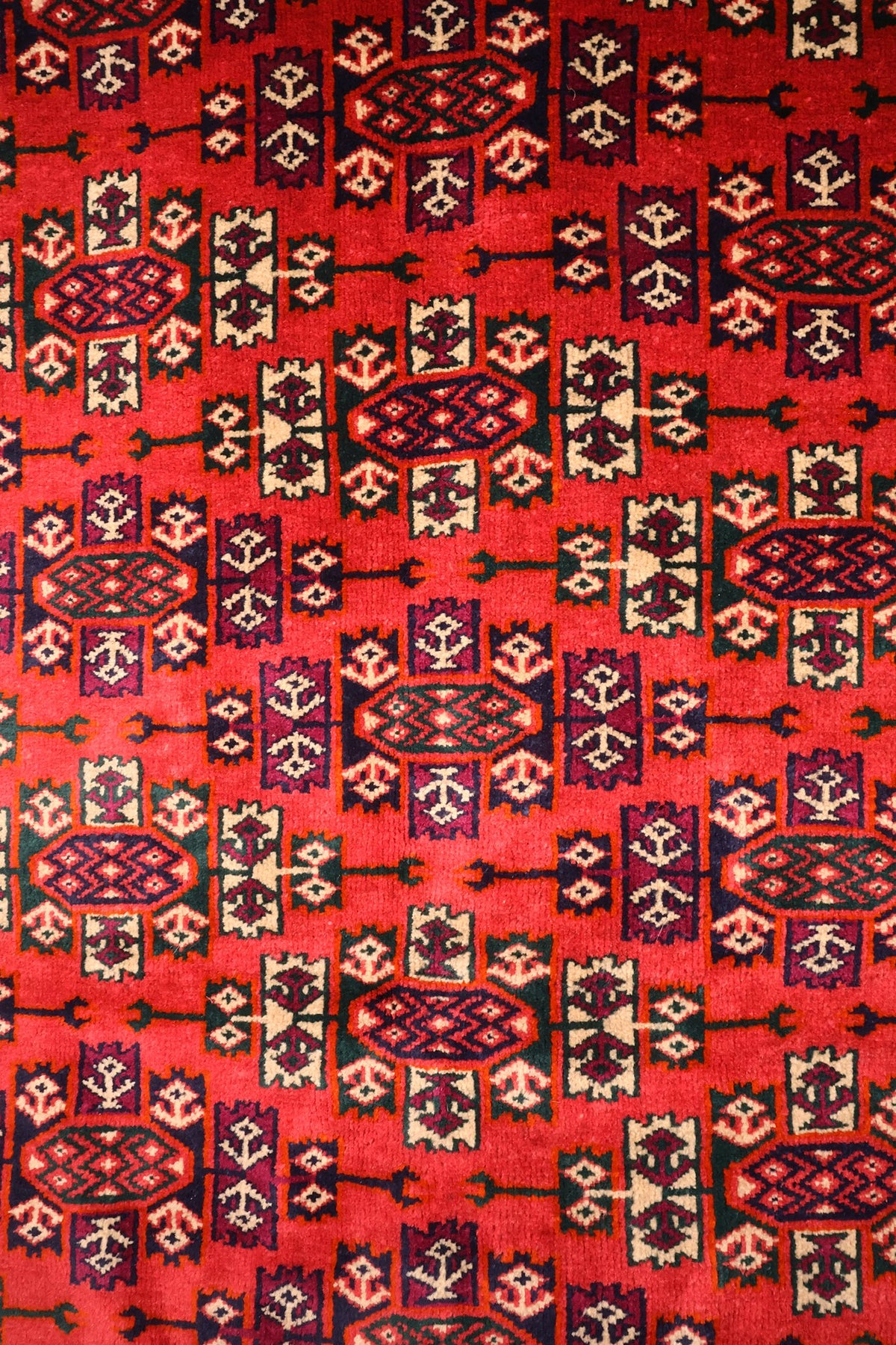 Détail du champ rouge du tapis Yomut, guls octogonaux noirs, ivoire et violet