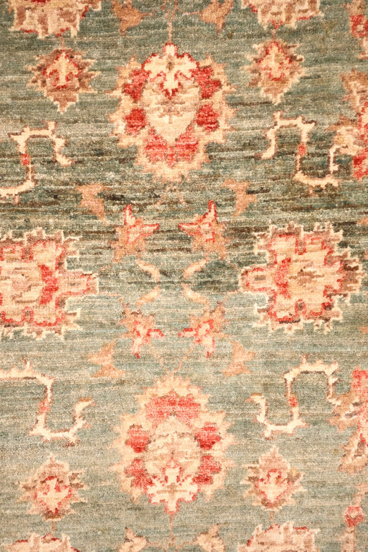 Détail des palmettes et rosettes beige et rouge brique sur le champ vert-gris