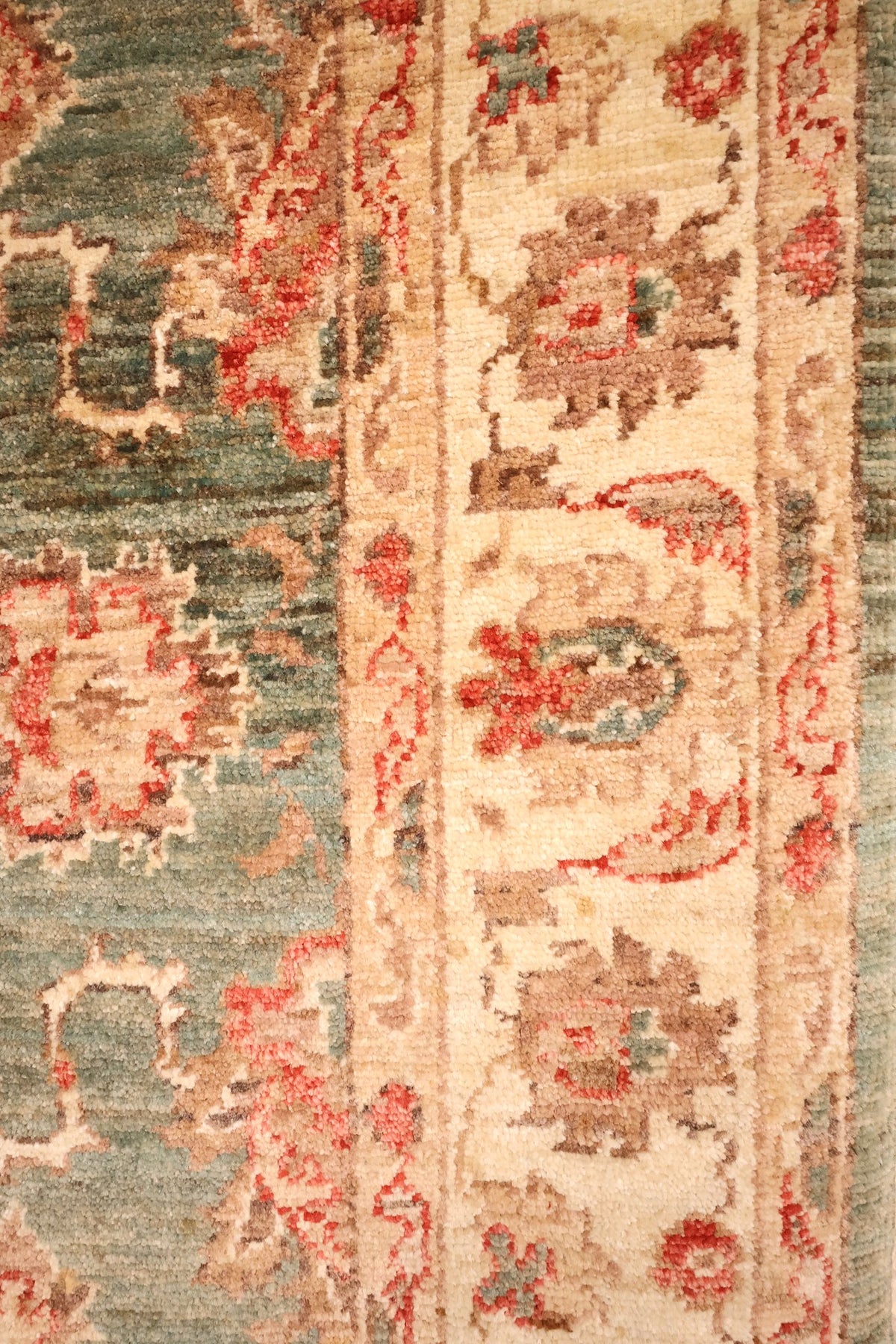 Bordure ivoire à rinceaux fleuris et contre-bordures étroites du tapis Ziegler