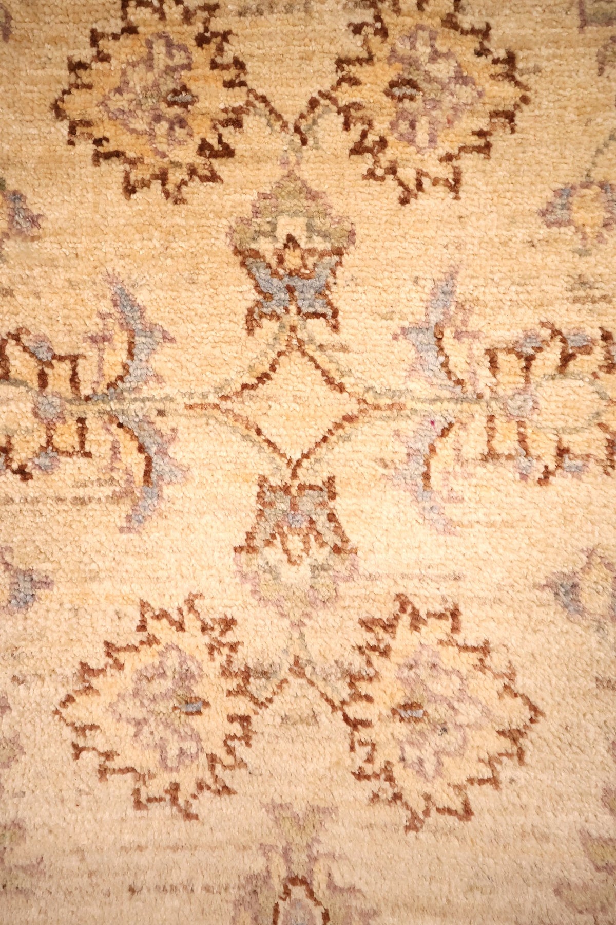 Détail des palmettes et rosettes brun-rouille sur fond beige clair du Ziegler