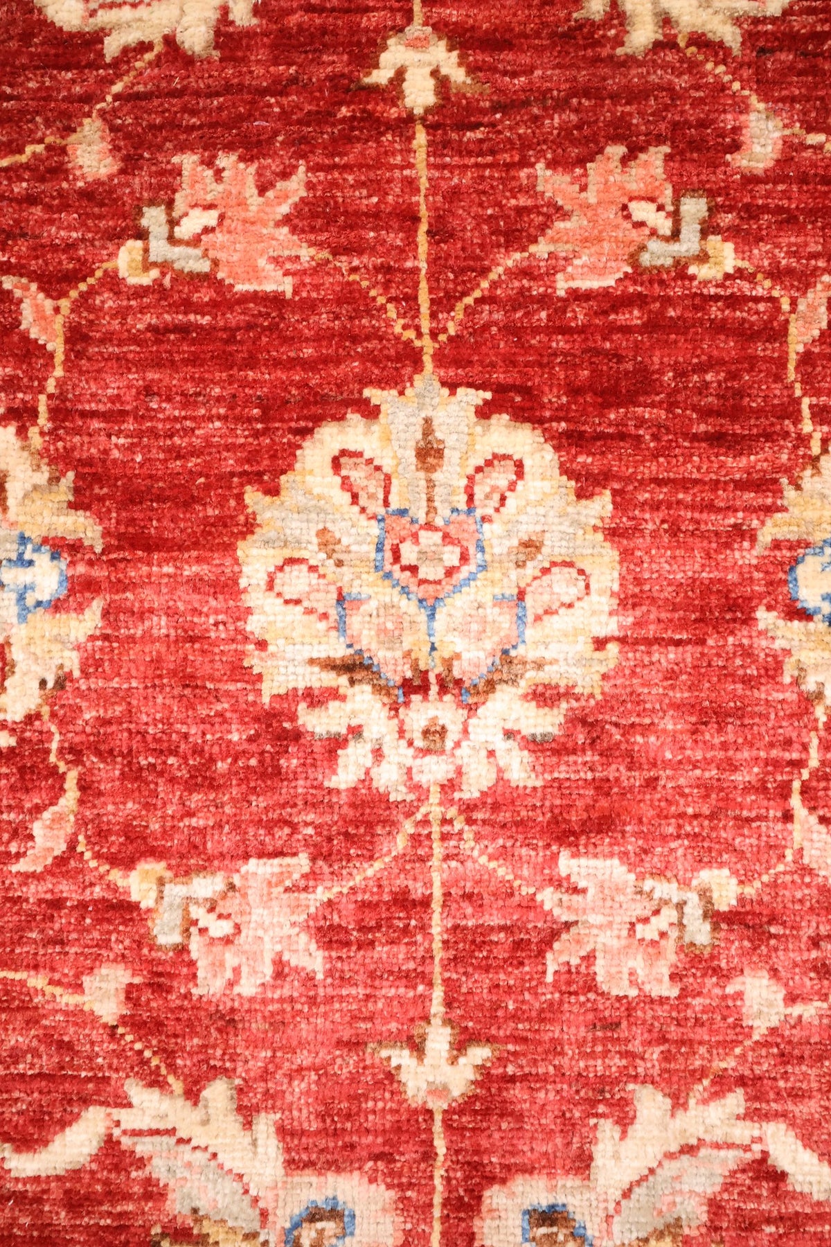 Détail d'une palmette ivoire et bleue sur champ rouge du tapis Ziegler