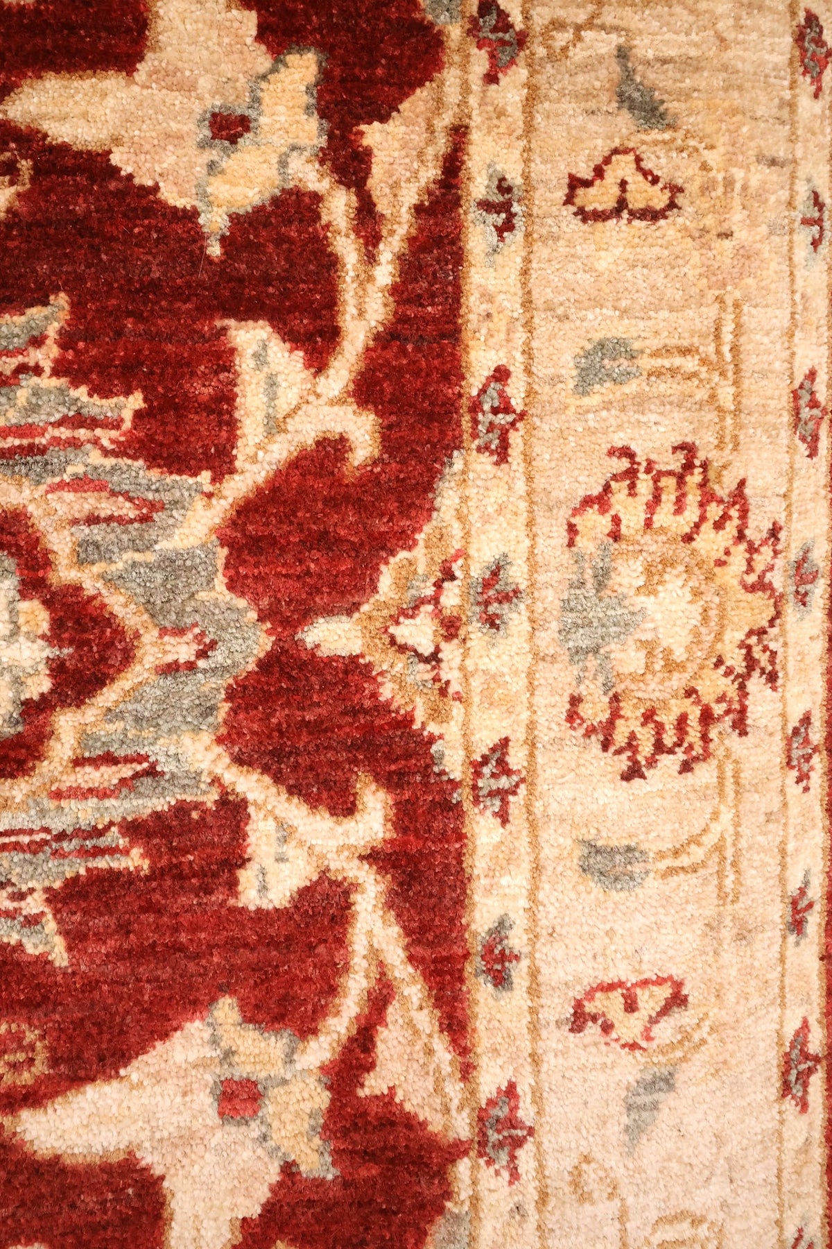 Bordure beige à rinceaux fleuris et contre-bordures du tapis Ziegler