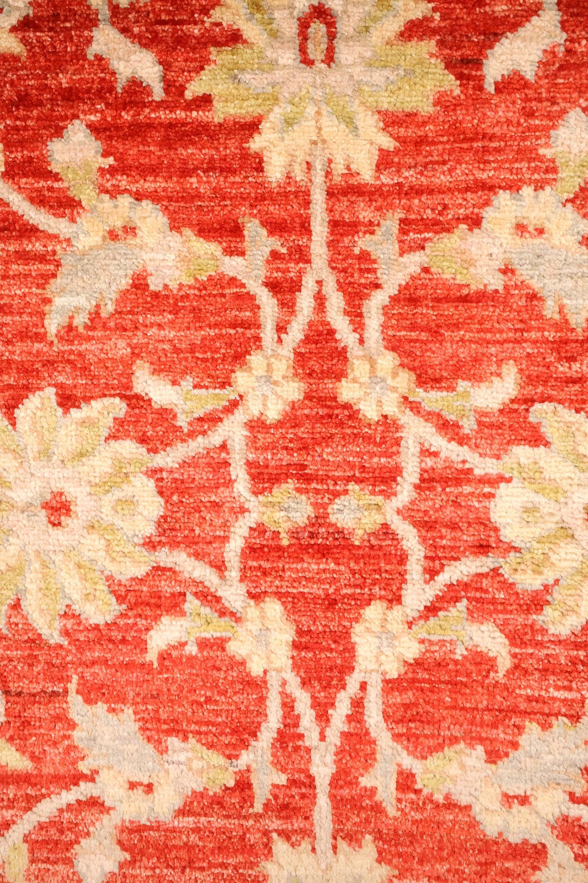 Détail des palmettes beige-ivoire et tiges vert olive sur champ rouge, tapis Ziegler
