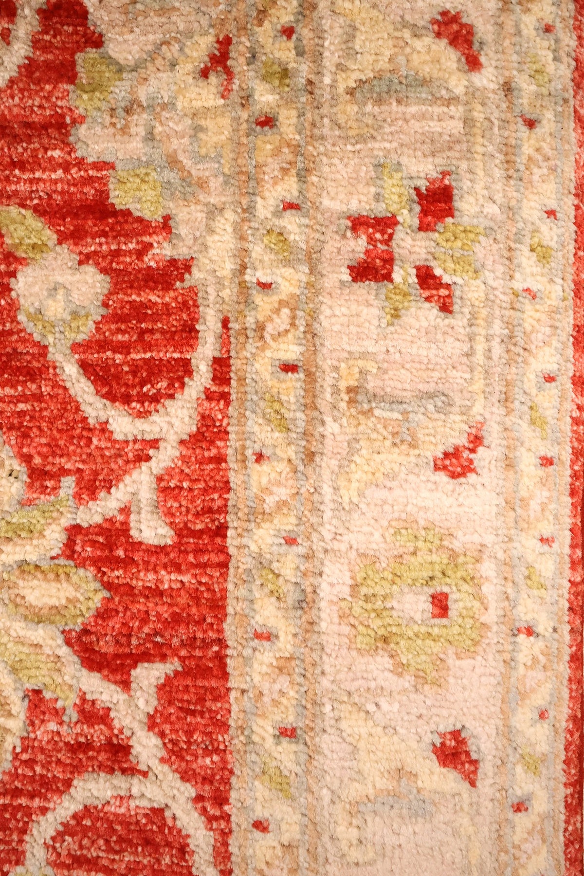 Bordure ivoire à guirlande florale et galons clairs du tapis Ziegler rouge